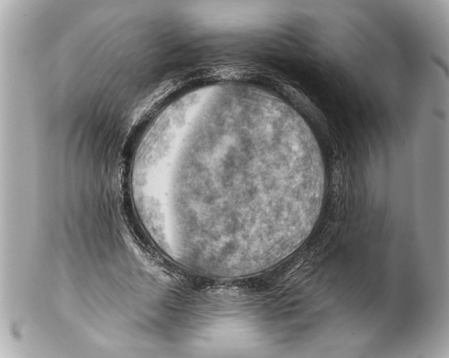 X0000102010730200808151251