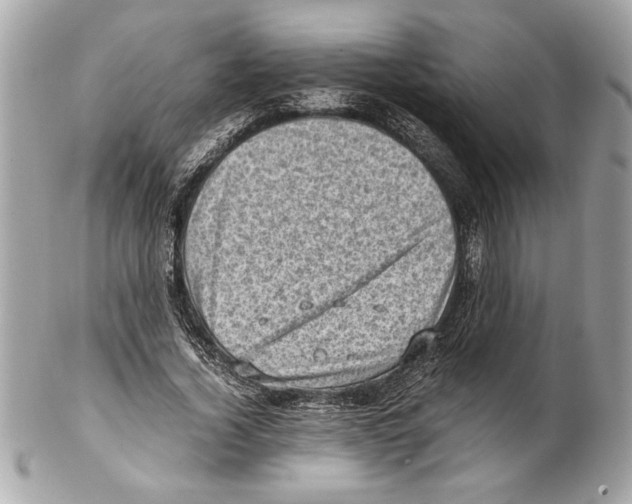 X0000102010732200808151251