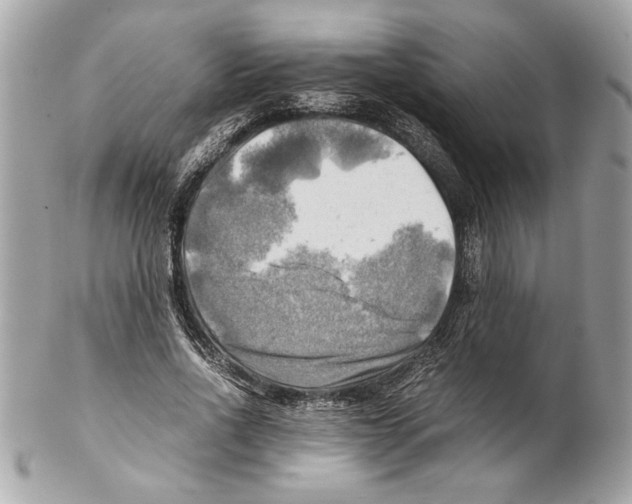 X0000102010734200808151251