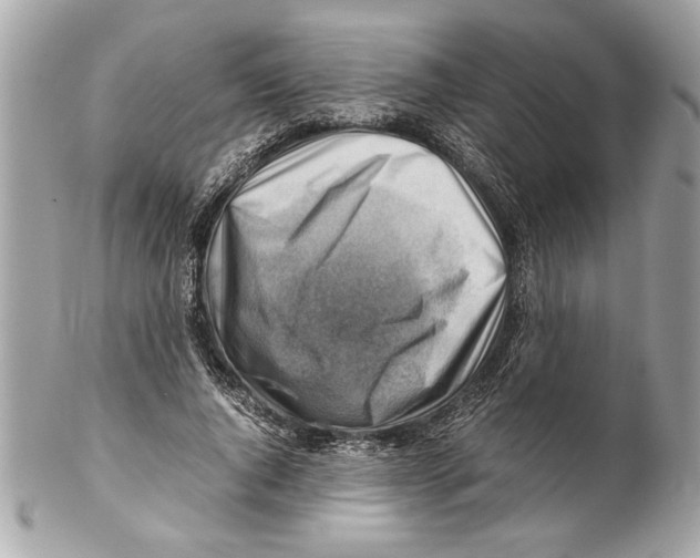 X0000102010736200808151251