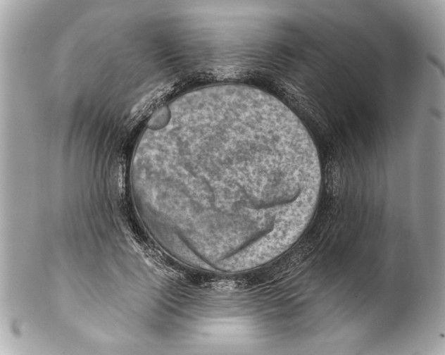 X0000102010740200808151251