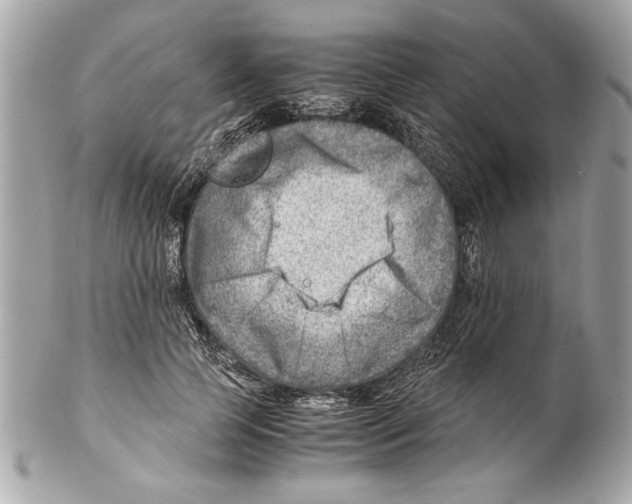 X0000102010745200808151251