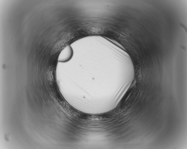 X0000102010746200808151251