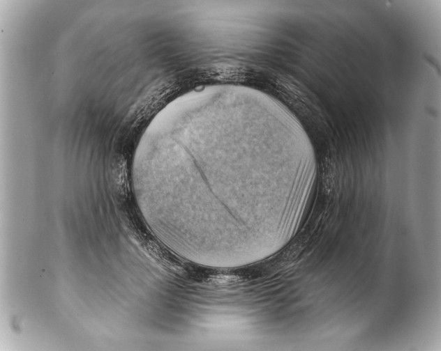 X0000102010748200808151251