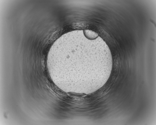 X0000102010749200808151251