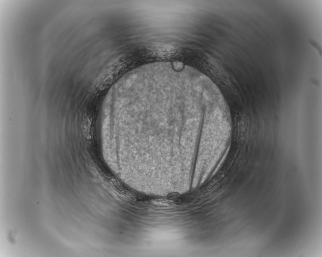 X0000102010750200808151251