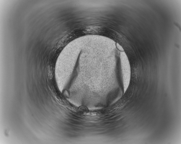 X0000102010751200808151251