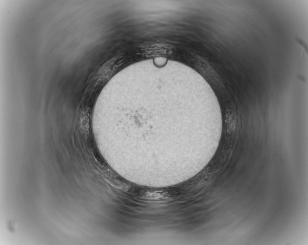 X0000102010753200808151251