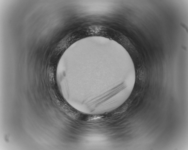 X0000102010754200808151251