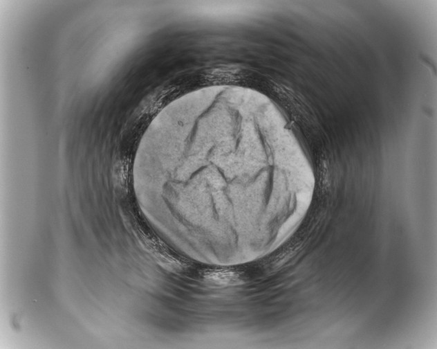 X0000102010759200808151251