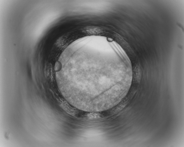 X0000102010762200808151251