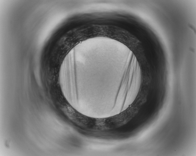 X0000102010766200808151252