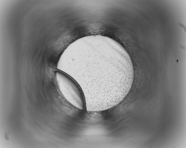 X0000102010768200808151252