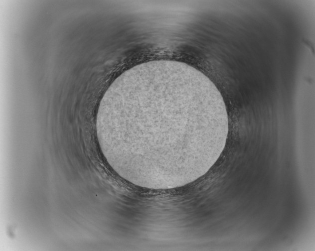 X0000102010769200808151251