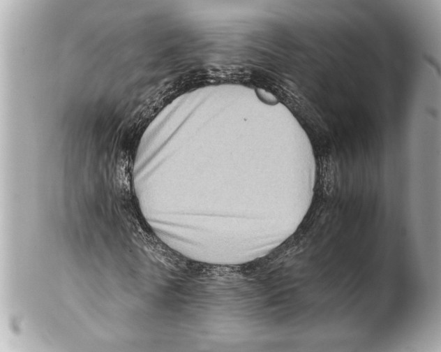 X0000102010770200808151251