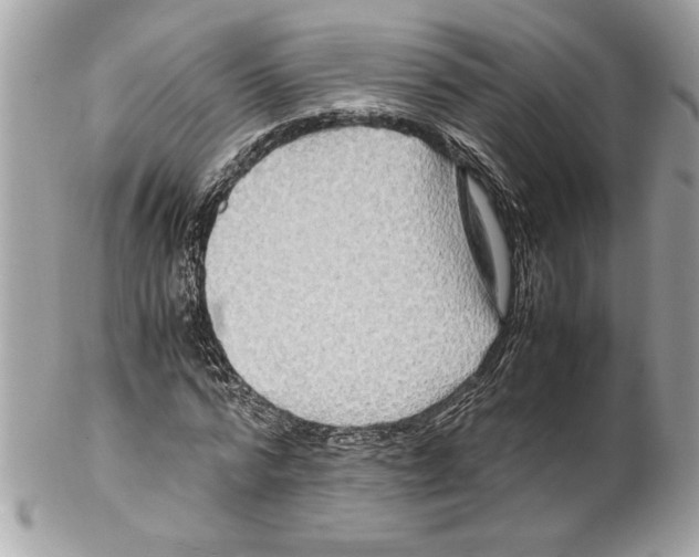 X0000102010776200808151251