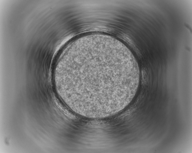 X0000102010780200808151251