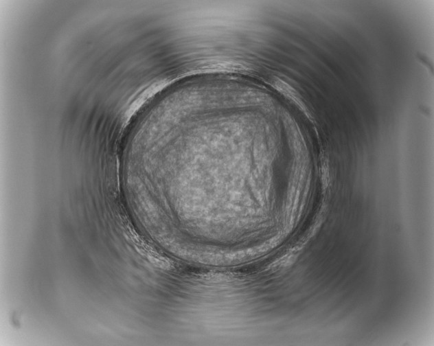 X0000102010781200808151251