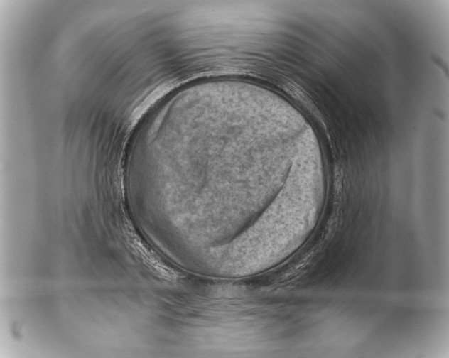 X0000102010789200808151251