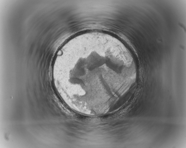 X0000102010791200808151251