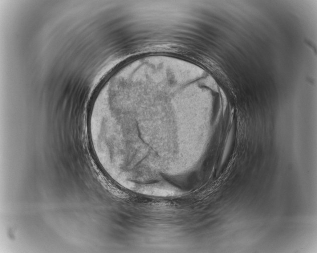 X0000102010792200808151251