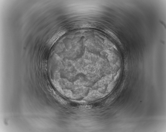 X0000102010793200808151250