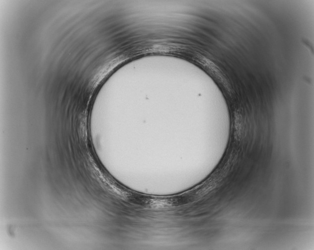 X0000102010794200808151250