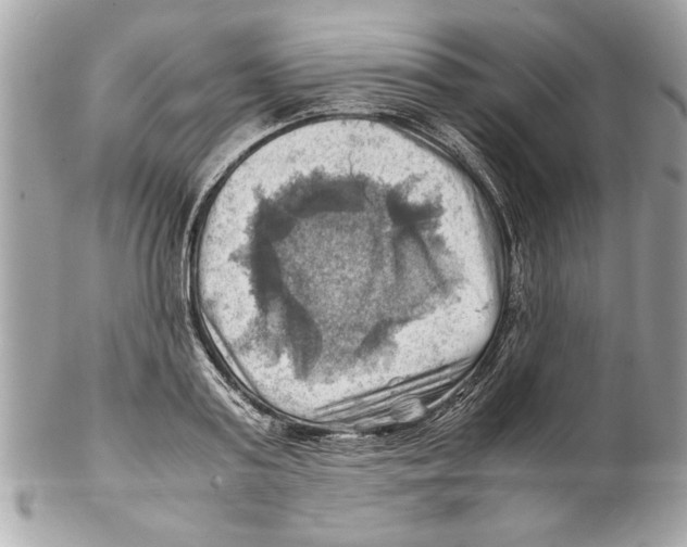 X0000102010795200808151250