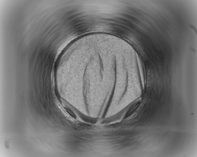 X0000102010796200808151250