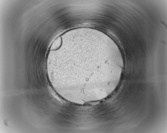 X0000102010800200808151250