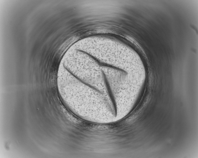 X0000102010801200808151250