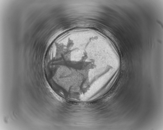 X0000102010803200808151250