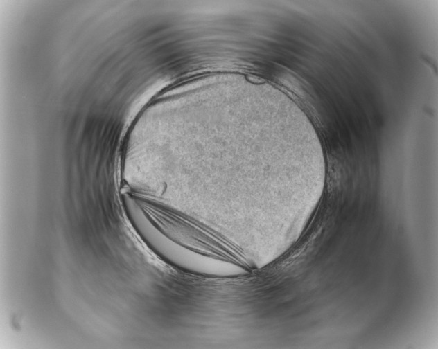 X0000102010804200808151250