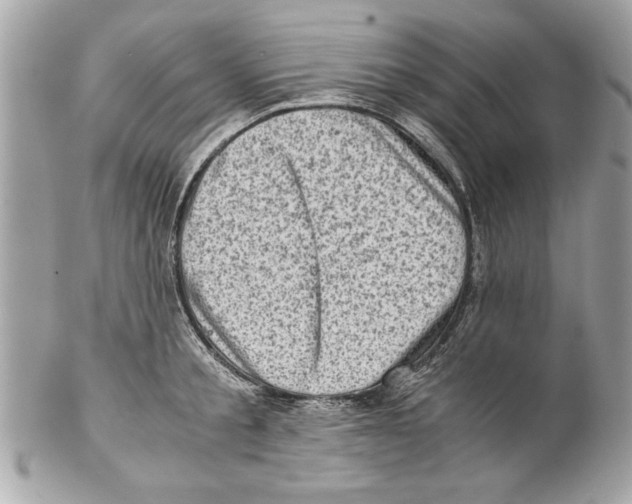 X0000102010805200808151250