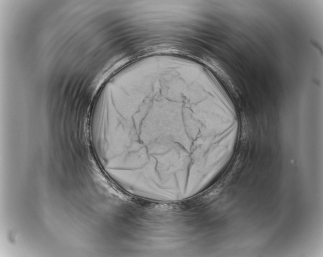 X0000102010806200808151250