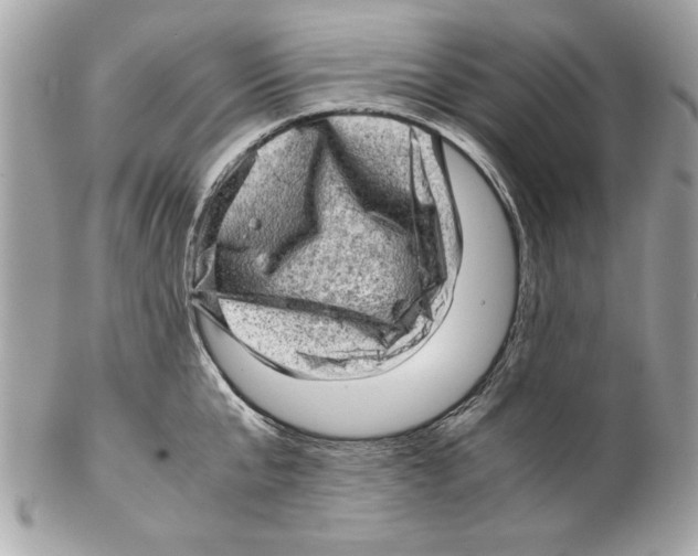 X0000102010807200808151250