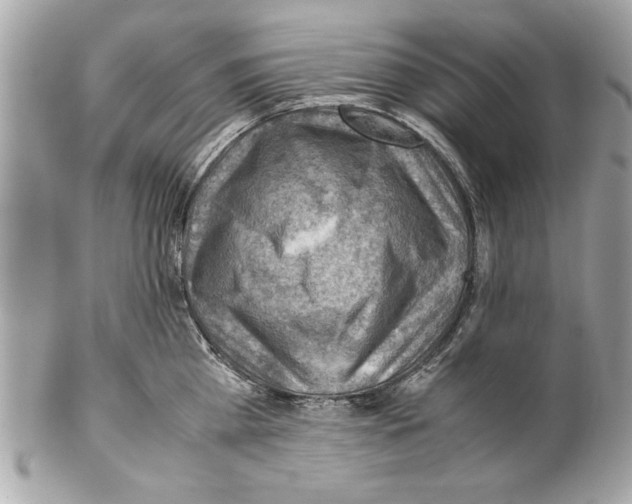 X0000102010809200808151250