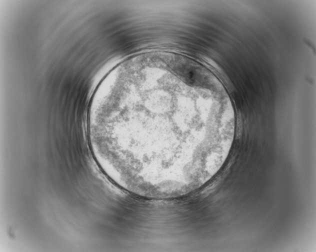 X0000102010812200808151250