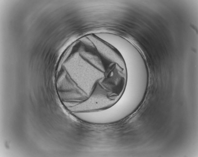 X0000102010813200808151250