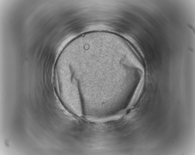 X0000102010815200808151250