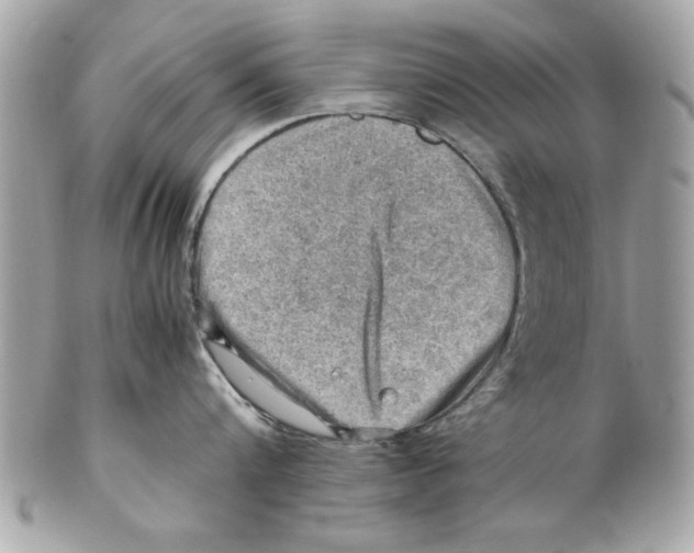 X0000102010816200808151250