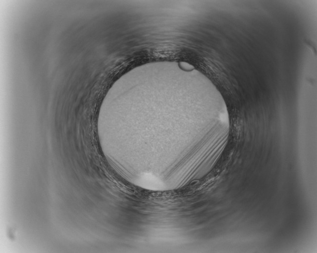 X0000102010817200808151250