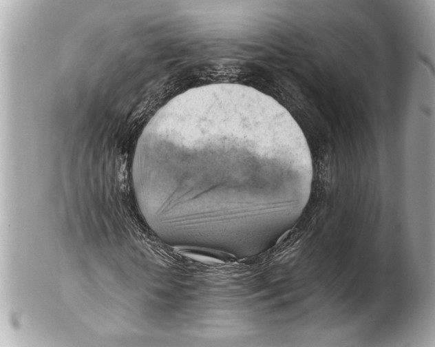 X0000102010818200808151250