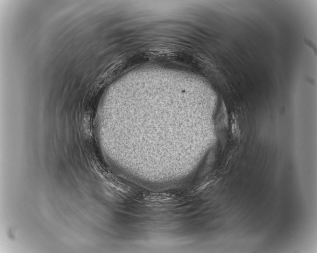 X0000102010819200808151250