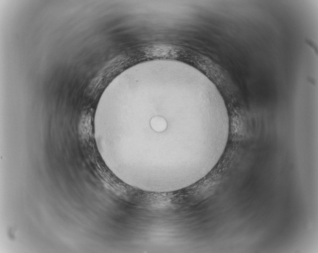 X0000102010820200808151250