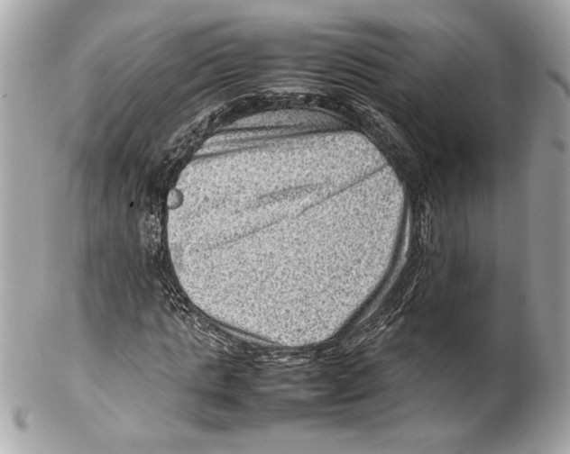 X0000102010821200808151250