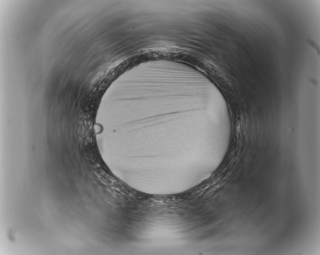 X0000102010822200808151250