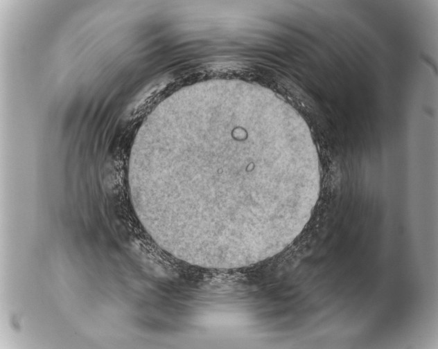 X0000102010824200808151250