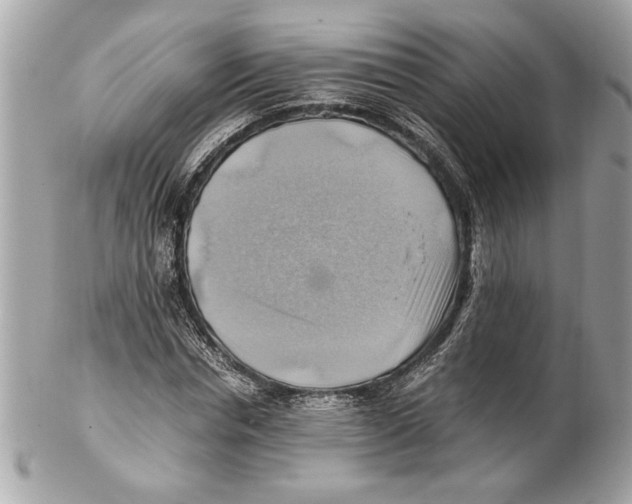 X0000102010826200808151250