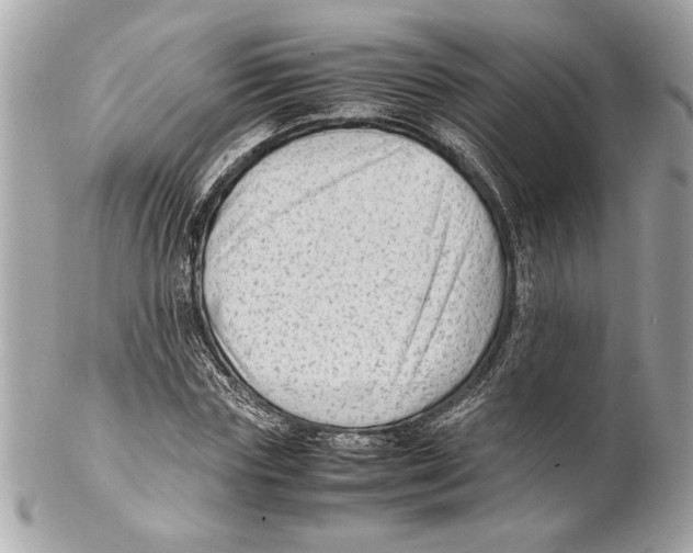 X0000102010827200808151250